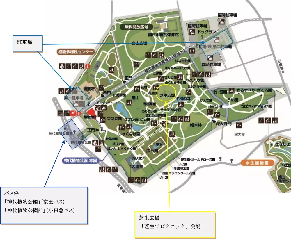 自然に囲まれた広場で贅沢な休日！神代植物公園「芝生でピクニック」11月23日(土)開催