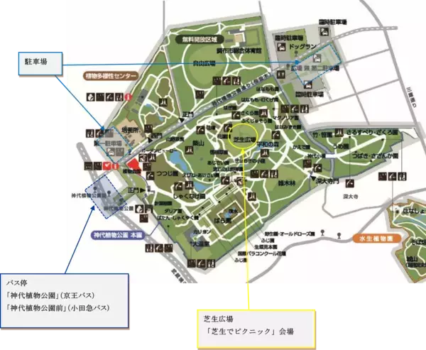自然に囲まれた広場で贅沢な休日！神代植物公園「芝生でピクニック」11月23日(土)開催