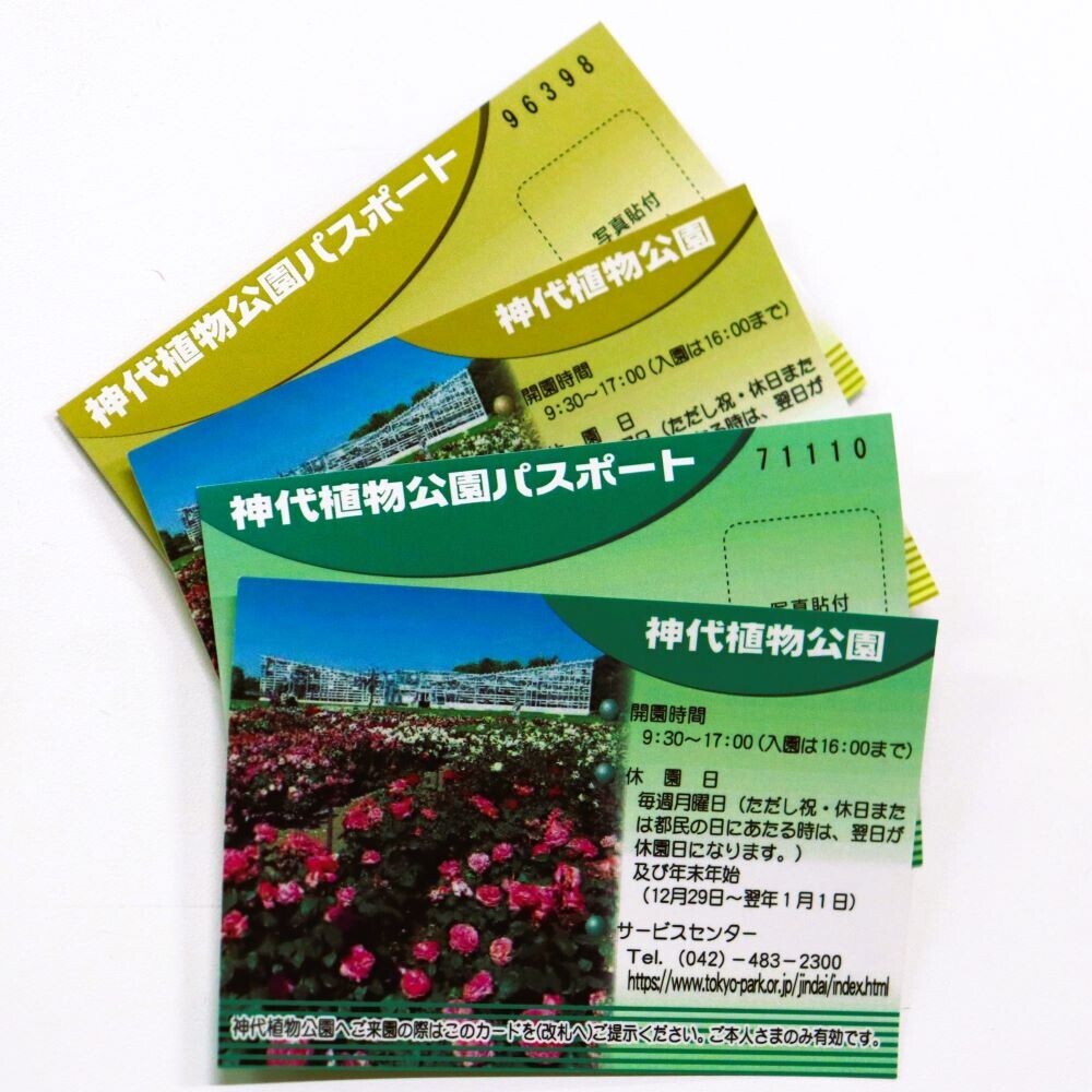 自然に囲まれた広場で贅沢な休日！神代植物公園「芝生でピクニック」11月23日(土)開催