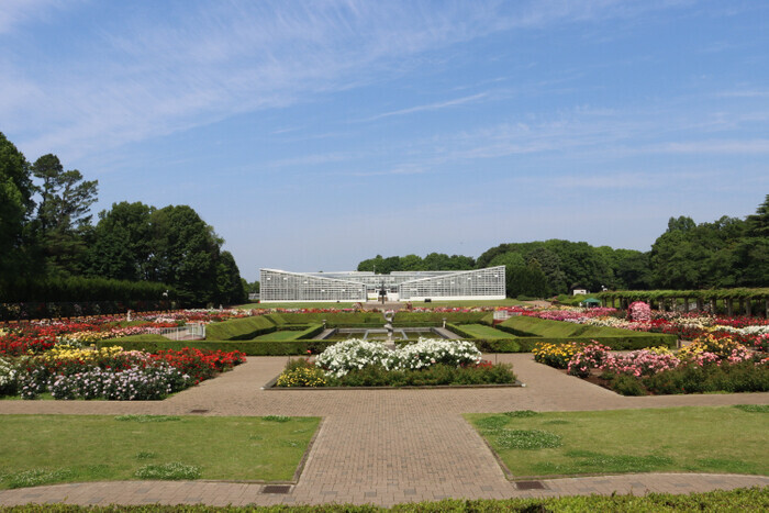 自然に囲まれた広場で贅沢な休日！神代植物公園「芝生でピクニック」11月23日(土)開催