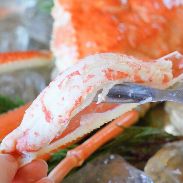 【12/20㊎スタート！送料無料】旬の松葉ガニや能登の牡蠣鍋など、年末年始のごちそうをお得にお取り寄せ【旅する久世福e商店】