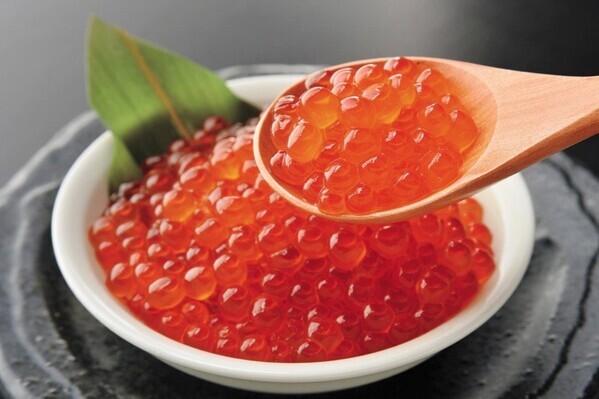 【12/20㊎スタート！送料無料】旬の松葉ガニや能登の牡蠣鍋など、年末年始のごちそうをお得にお取り寄せ【旅する久世福e商店】