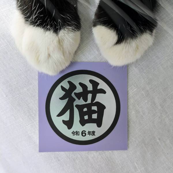 ニュウマン横浜に猫グッズが大集合！「カナガワキャットカーニバル2024」開催！【期間：2024年2月2日(金)～2月29日(木)】