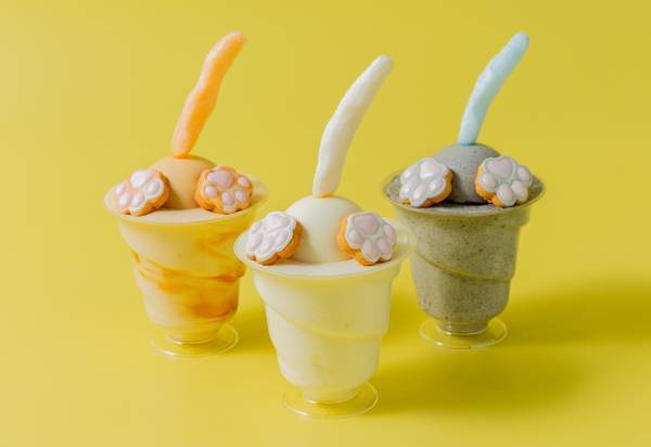 ニュウマン横浜に猫グッズが大集合！「カナガワキャットカーニバル2024」開催！【期間：2024年2月2日(金)～2月29日(木)】