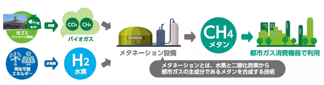 大阪万博で活用するメタネーションの実証実験設備が竣工～ライフ店舗から出る食品残渣を再利用