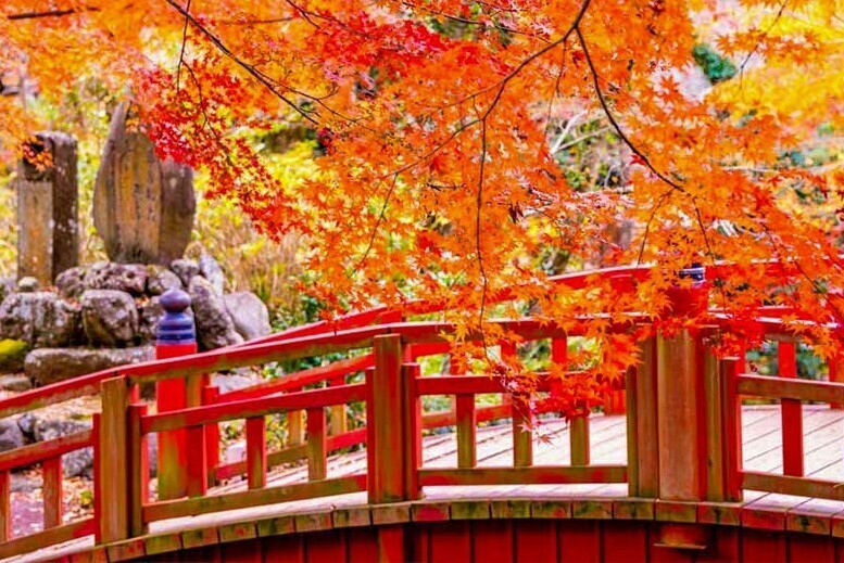 ＜中部版＞ 紅葉狩りを楽しむ秋の温泉旅におすすめの「紅葉のみどころ特集」ページを公開！