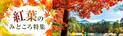 ＜中部版＞ 紅葉狩りを楽しむ秋の温泉旅におすすめの「紅葉のみどころ特集」ページを公開！