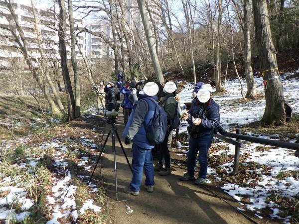 【野鳥観察イベント】小山内裏公園で冬の野鳥観察会を2月11日（日）に開催！