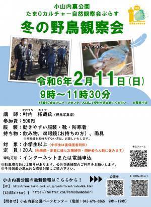 【野鳥観察イベント】小山内裏公園で冬の野鳥観察会を2月11日（日）に開催！