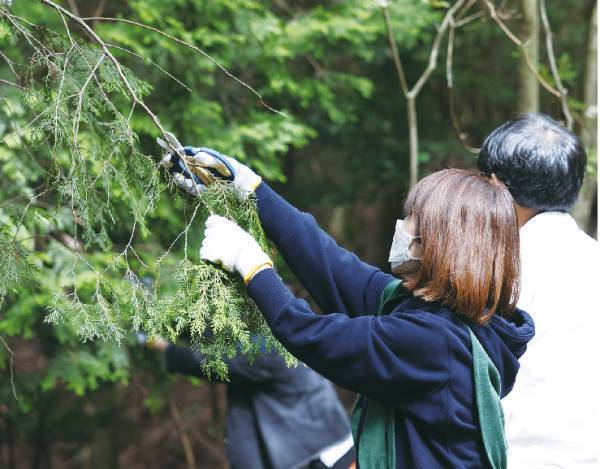 ヒノキの枝葉を再生利用 オリジナルブレンドアロマオイル『環木 tamaki』誕生