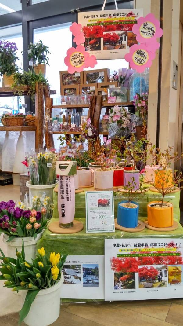 被災地のお花で支援を！！「のとキリシマツツジ」応援プロジェクト開催