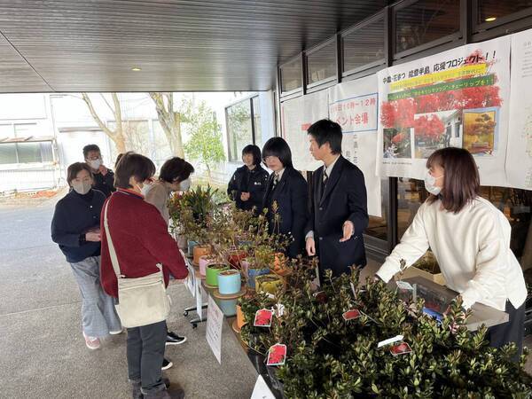 被災地のお花で支援を！！「のとキリシマツツジ」応援プロジェクト開催