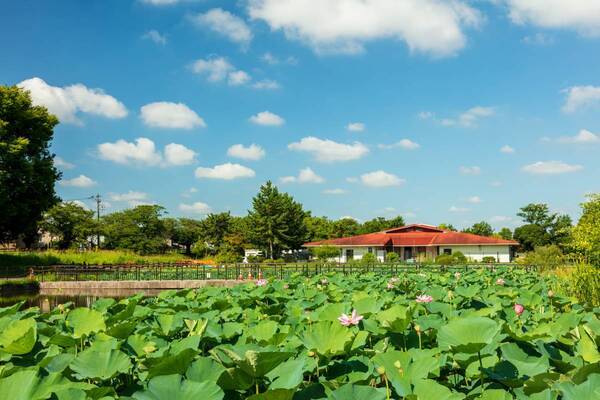 防災知識を楽しく身につけよう！2/24 水元公園で「防災まつり」を開催