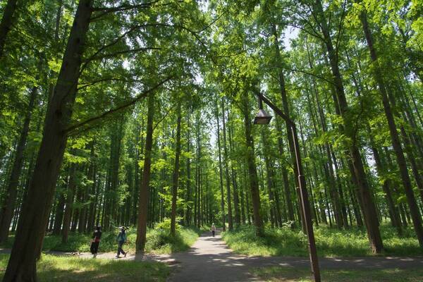 防災知識を楽しく身につけよう！2/24 水元公園で「防災まつり」を開催