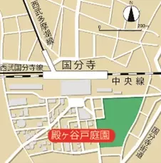 200本のモミジが彩る殿ヶ谷戸庭園で秋の催しを11月に実施 「伝統技能見学会」や「盆栽展」を順次開催します