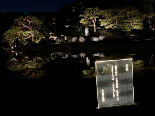 【追加情報発表】秋の夜を彩る紅葉のライトアップ「庭紅葉の六義園 夜間特別観賞」11月22日(金)から開催！