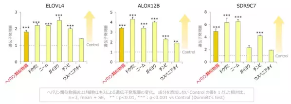 肌のバリア機能に重要な結合型セラミドを増やす成分を発見