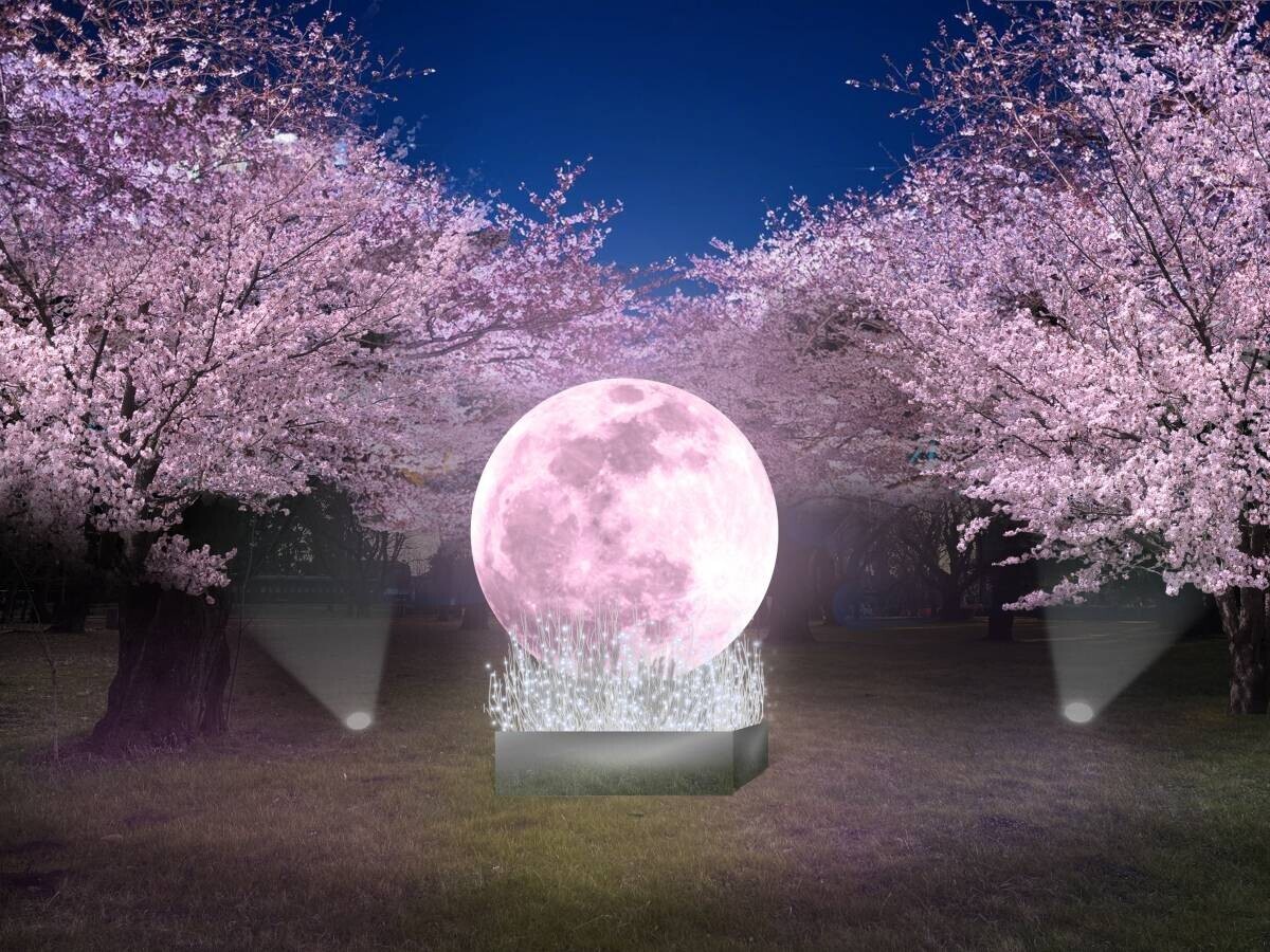 春爛漫の都立公園で、ライトアップを楽しもう！ 浮間公園・小金井公園・舎人公園で 「花と光のムーブメント」を3月22日から順次開催！