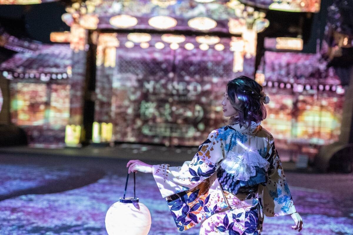 卒業旅行、桜の京都観光に。夜の二条城で桜のライトアップと着物レンタルのセット販売を開始。