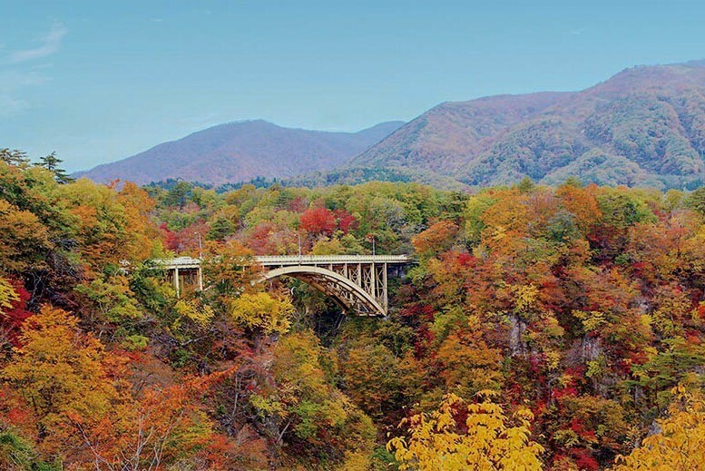 ＜東北版＞ 紅葉狩りを楽しむ秋の温泉旅におすすめの「紅葉のみどころ特集」ページを公開！