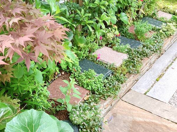 【樹木葬 「上京庭苑みのり」「西陣庭苑」】 永代供養墓の魅力を知るための自由見学会開催