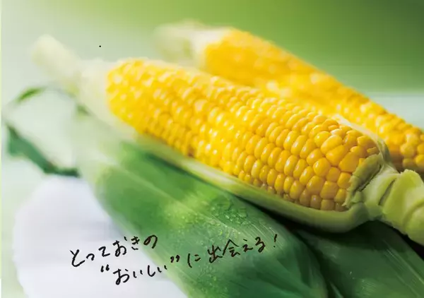 産地直送通販サイト「ＪＡタウン」で新企画 毎月１回お届けする頒布会「旬食便」がスタート！