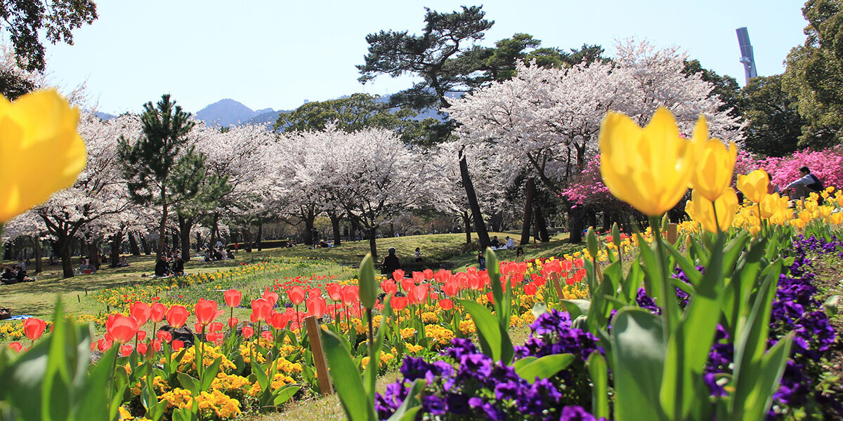 絶景露天風呂とグルメバイキング、お花見を楽しむ春旅へ。 大江戸温泉物語九州3県の宿で 【春のまんぞくバイキング】が3月1日スタート