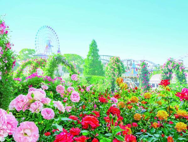 超ひらパー兄さん園長 新CM「通過点」篇 ― 2024年3月15日(金)より関西地区にて放映開始 ―