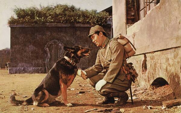 BS松竹東急にて「新春・渥美清と初笑い！」 『男はつらいよ』第1・2作を含む名作喜劇8作を一挙放送