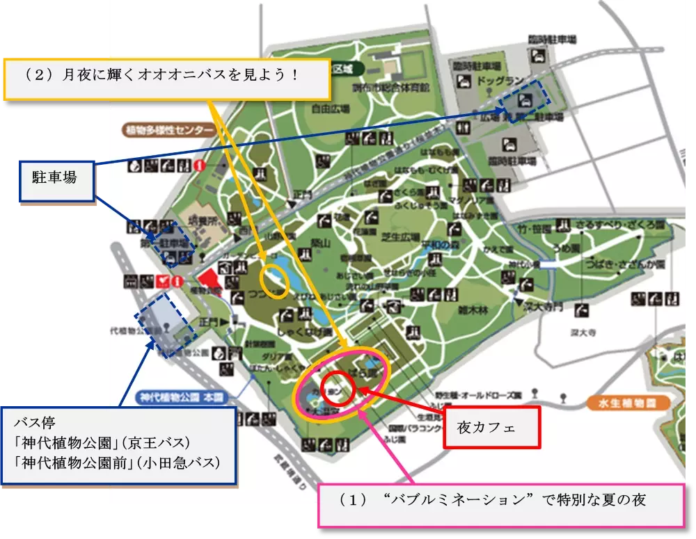 神代植物公園「大温室夜間公開」を実施します！（7/20～7/21、9/14～9/15）