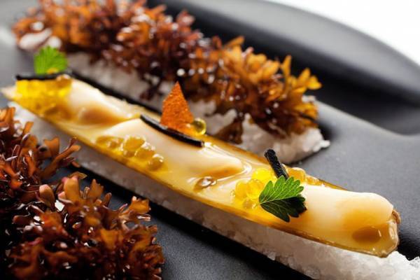 「禅坊 靖寧」世界一の３つ星レストラン「エル・ブジ」で活躍したシェフとのコラボレーション　スペシャルディナー『Nomadic Vegan Gastronomy』2月23日に開催