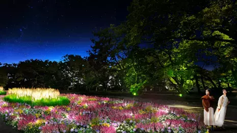 11/23～12/8「小金井公園」の植物、歴史や文化、集う人々の活動を“あかり”で表現 「夜の公園散策」をテーマにしたライトアップイベントを初開催！   「花と光のムーブメント」 小金井公園ナイトパーク ワンダー