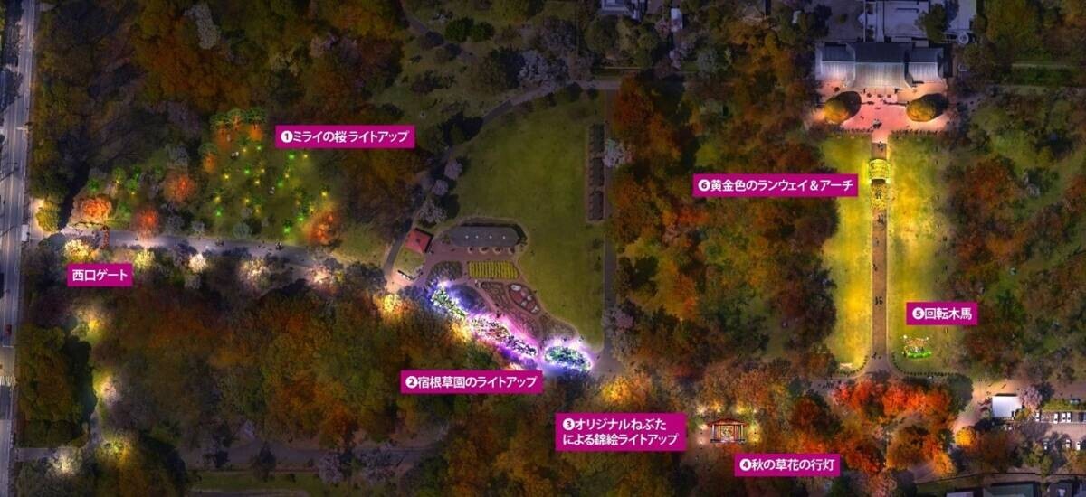 11/23～12/8「小金井公園」の植物、歴史や文化、集う人々の活動を“あかり”で表現 「夜の公園散策」をテーマにしたライトアップイベントを初開催！   「花と光のムーブメント」 小金井公園ナイトパーク ワンダー