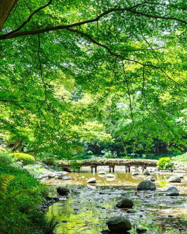 3/27～募集開始！春のTOKYO Instagramフォトコンテスト2024～都立公園・庭園・隅田川でたのしむ春～