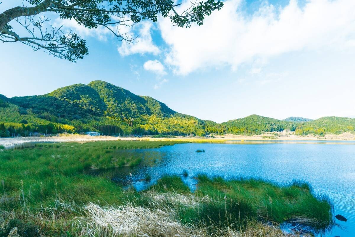 【ライフ】土用の丑の日は「BIO-RAL鹿児島県産【無投薬】粋を尽くしたうなぎ」で夏を乗り切ろう！