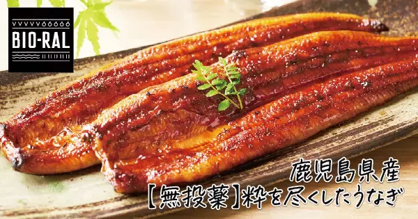 【ライフ】土用の丑の日は「BIO-RAL鹿児島県産【無投薬】粋を尽くしたうなぎ」で夏を乗り切ろう！