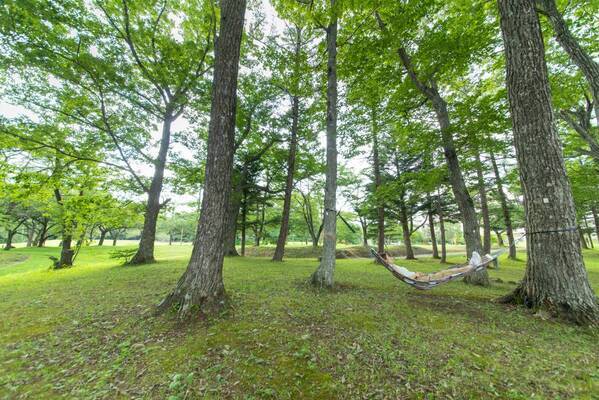 【速報】4月17日初開催・ディナーで職人がモッツァレラチーズ作り実演！宮城県産生乳100％使用チーズをアミューズに