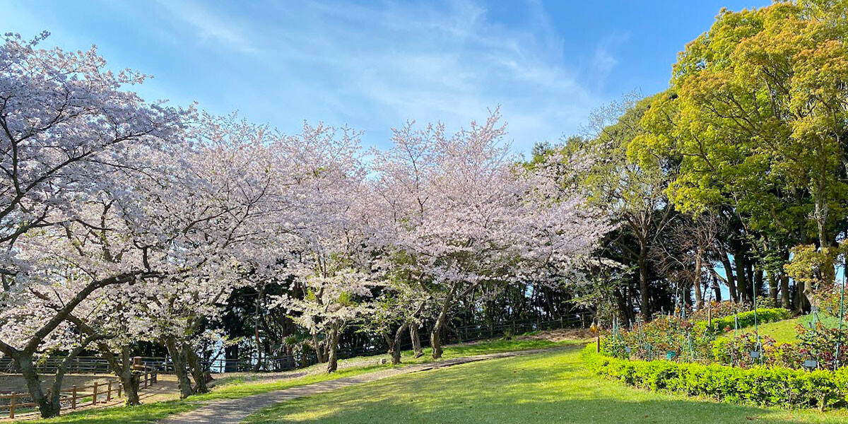 【大江戸温泉物語】が手掛けるオールインクルーシブの温泉リゾートホテル TAOYA志摩（三重県）とTAOYA西海橋（長崎県）で3月1日、 春のリゾートバイキングスタート！