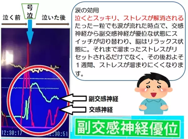 鎌倉を巡る号泣ツアー。“泣くだけ”でストレス解消できる注目の健康法「涙活（るいかつ）」の仕掛けを利用したツアーを11月10日(日)に実施します。