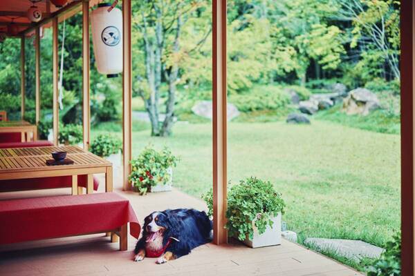 暑い夏の昼下がりにひんやり、淡路島大人スイーツが登場！ 海神人の食卓『オリジナル和風かき氷』7月1日より提供開始！