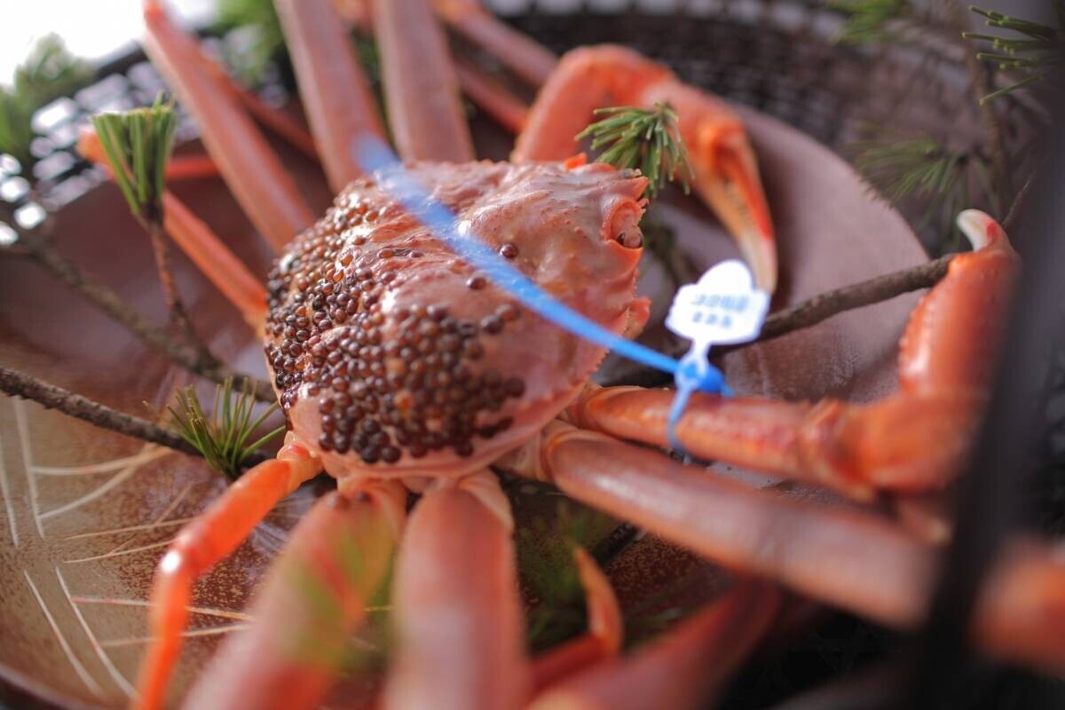 【海一望の温泉と至福のカニ料理で心も身体も満つ一時】高台より海を見下ろす舟形の宿で蟹づくしを愉しむ旅へ－海の京都・夕日ヶ浦温泉「一望館 はなれ櫂」