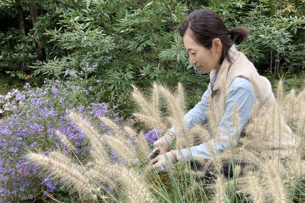 第２回東京パークガーデンアワード  神代植物公園 グランプリほか受賞者が決定しましたのでお知らせします