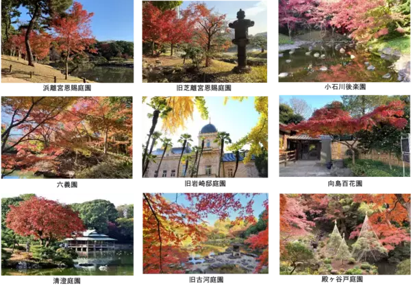第17回「都立庭園紅葉めぐりスタンプラリー」10月12日(土)～12月8日(日)