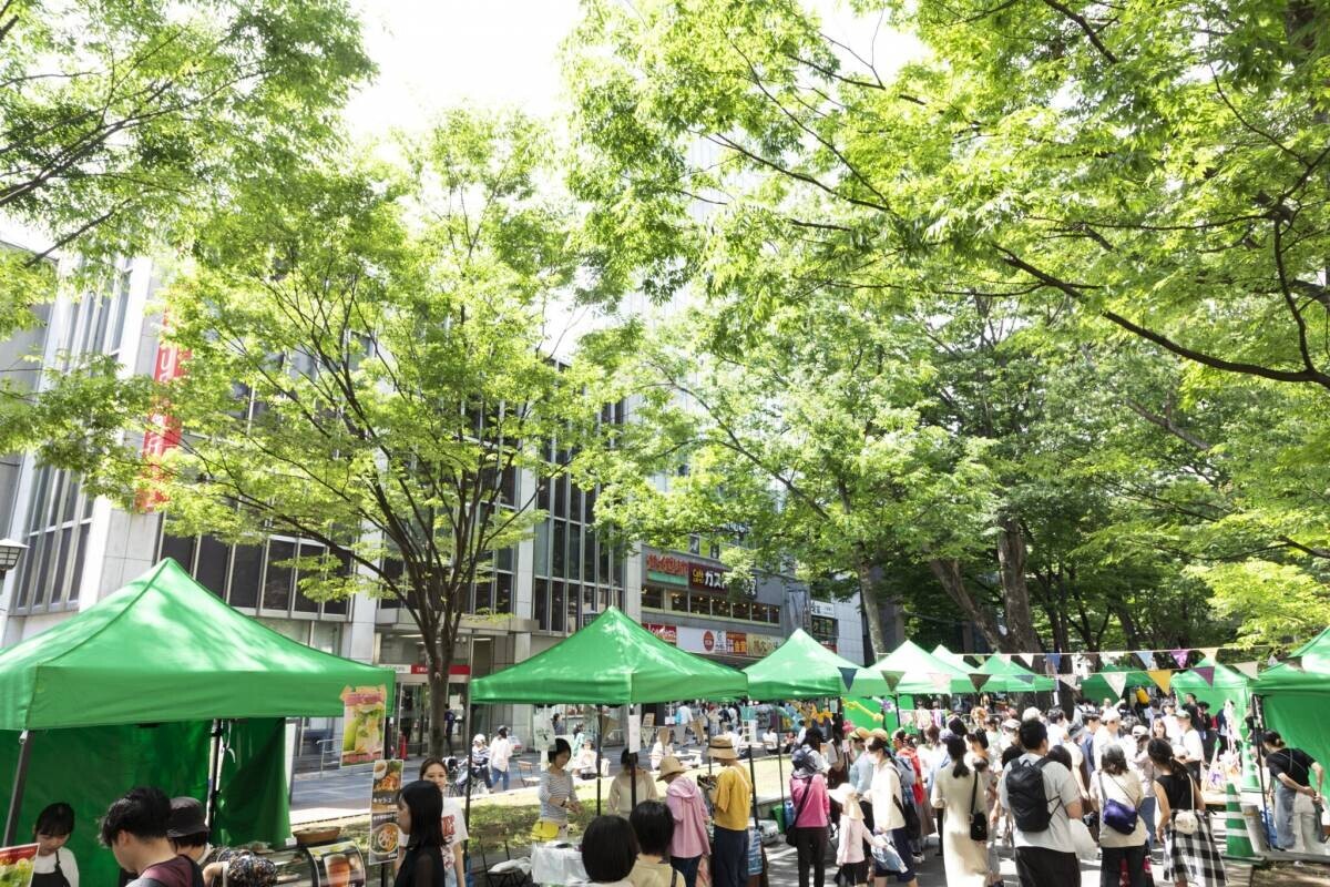 府中駅前けやき並木通りで【キテキテ府中マルシェ】次回開催が決定！現在出店者を募集しています