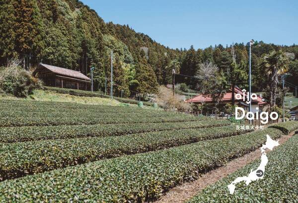 食を通してまちのテーブルと地域をつなぐ「Sato alla Tavola」プロジェクトが本格始動。ブランドサイト、初回イベントも同時ローンチ。