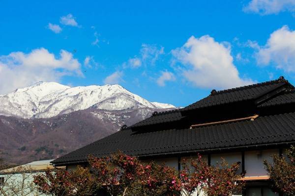 【お正月特集】2024年お正月を祝うプリザーブドフラワーを発売中！