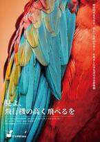 永井愛（二兎社）作『見よ、飛行機の高く飛べるを』を ことのはboxが東京芸術劇場シアターウエストにて上演決定　カンフェティでチケット発売