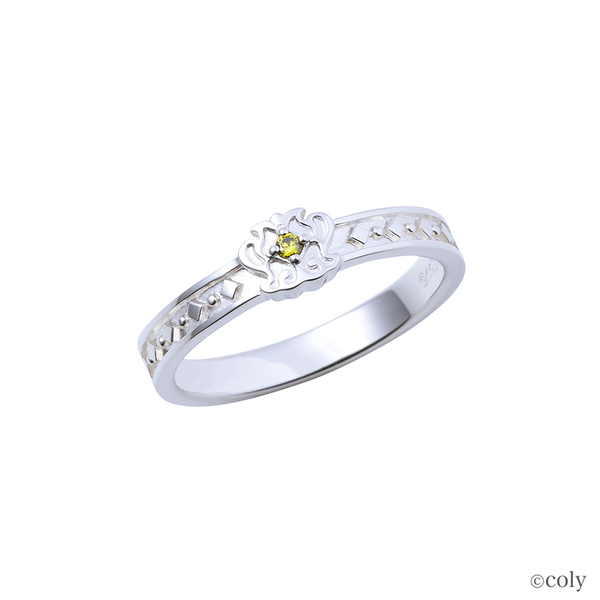 「魔法使いの約束」コラボジュエリー第五弾　5/23（木）より受注開始！