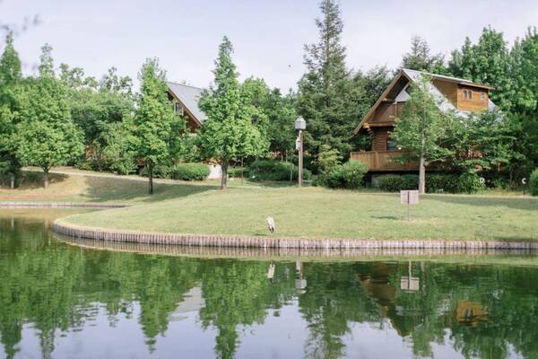 冬の夜を幻想的に照らす竹灯りの光と影が織りなすアート空間へようこそ！ 大阪ベイエリアの「ホテル・ロッジ舞洲」で11月30日から特別展示を開催