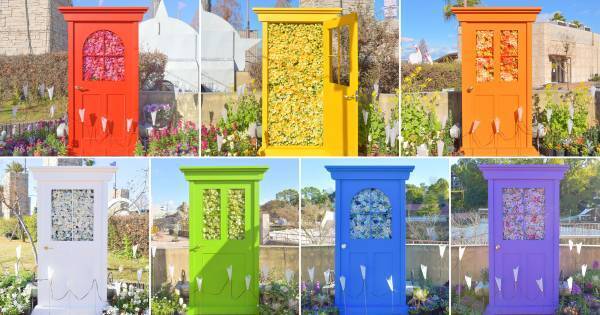 色の日(1月6日)に「＃推し活ひらパー」を新提案 “推しカラーであふれる遊園地” ひらかたパークがあなたの推し活を応援します！